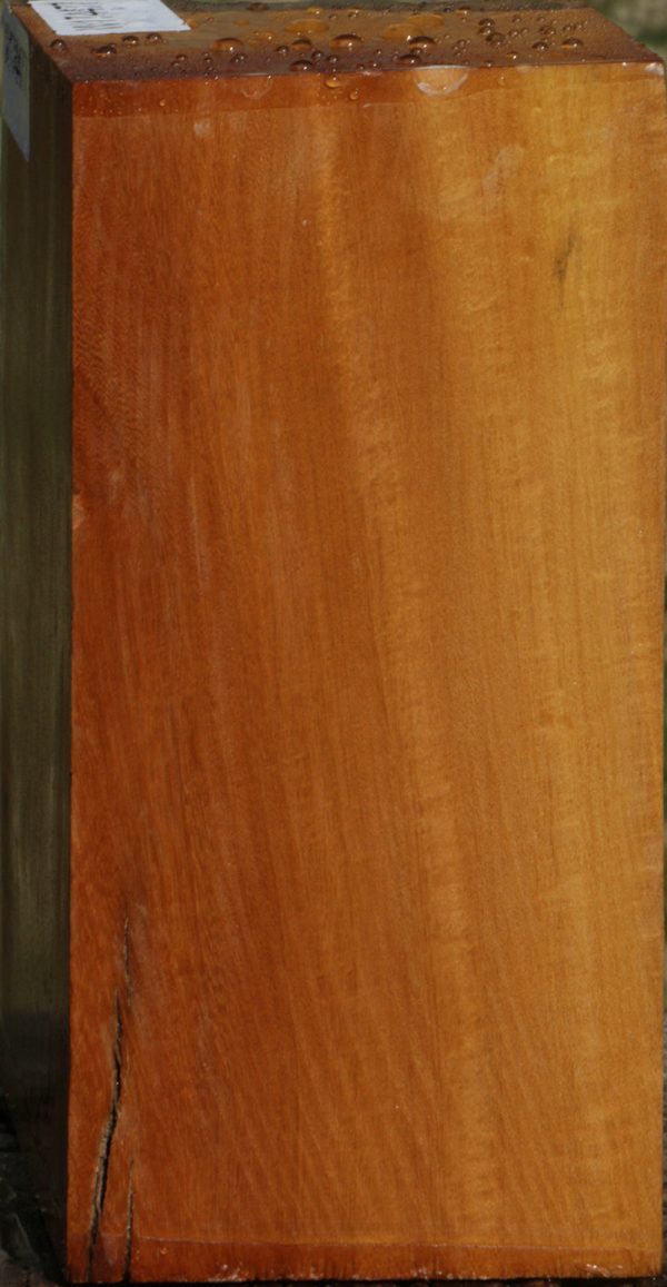 Mirindiba Live Edge Turning Blank Online Sale - Image 2