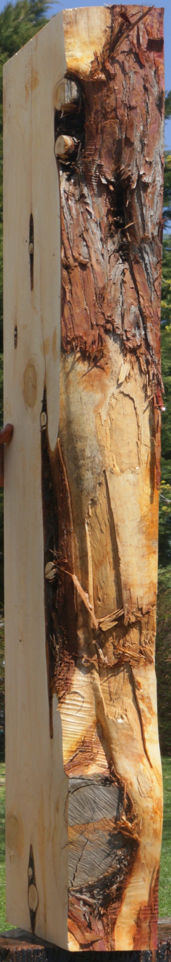 Rustic Juniper Live Edge Mantel Cheap - Image 2