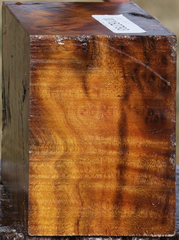 Camphor Burl Bowl Blank For Cheap - Image 4