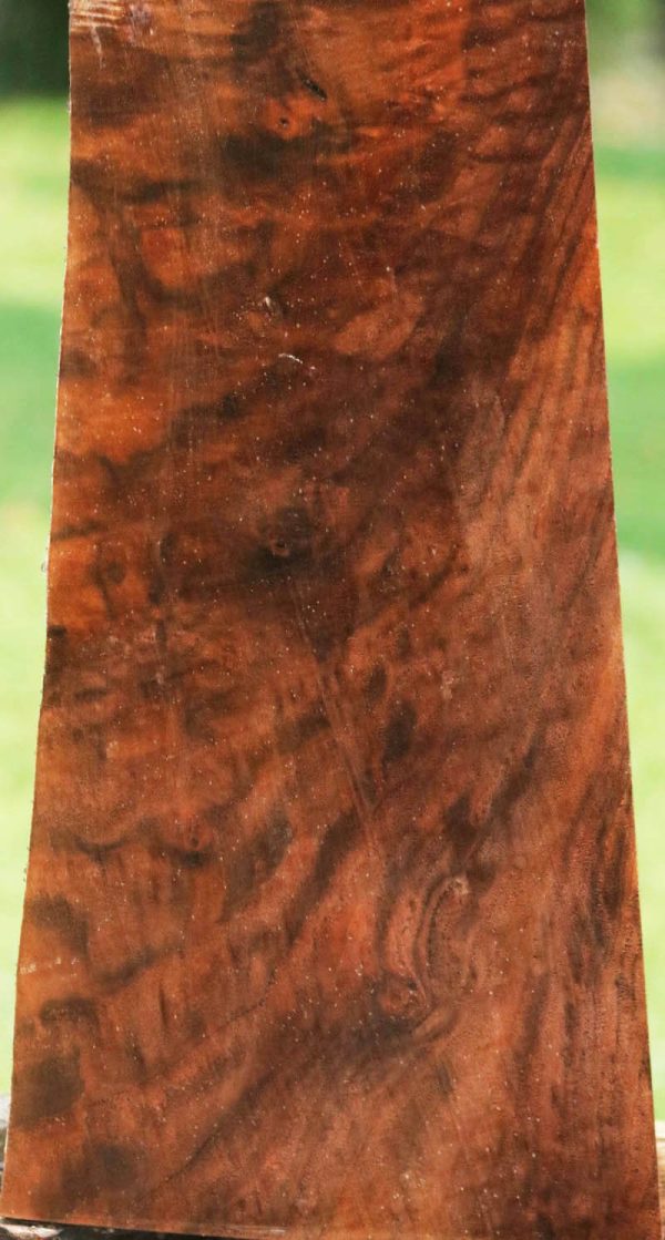 Exhibition Claro Walnut Gun Blank For Sale - Image 3