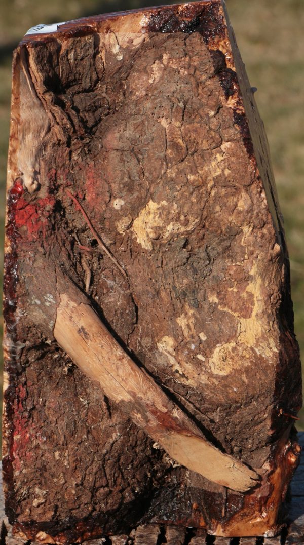 Kanista Burl Live Edge Bowl Blank Cheap - Image 4