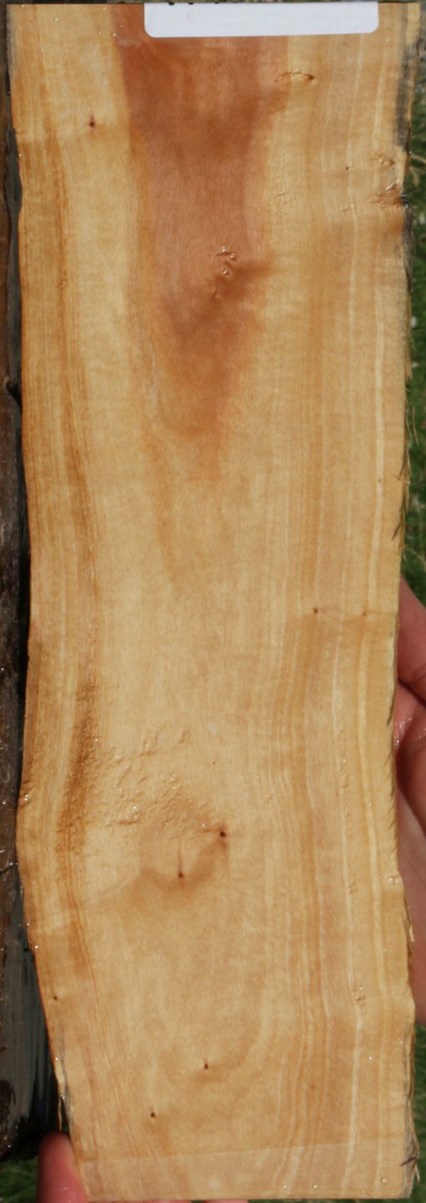 Pink Ivory Live Edge Micro Lumber Sale