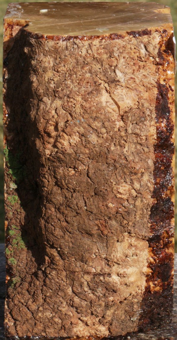 Kanista Live Edge Turning Blank For Discount - Image 4