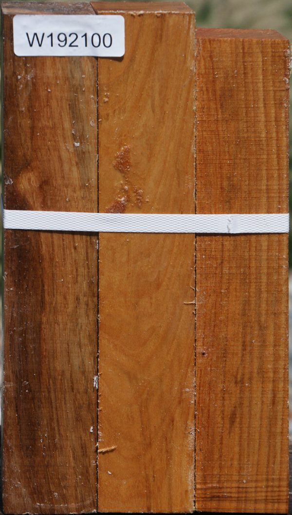 Lacebark Elm Turning Square 3 Pack on Sale - Image 2