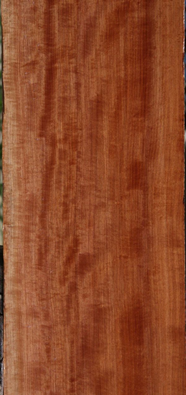 Figured African Makore Lumber Discount - Image 3
