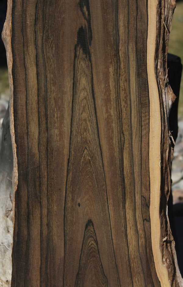 Exhibition Live Edge Ziricote Lumber Online now - Image 2
