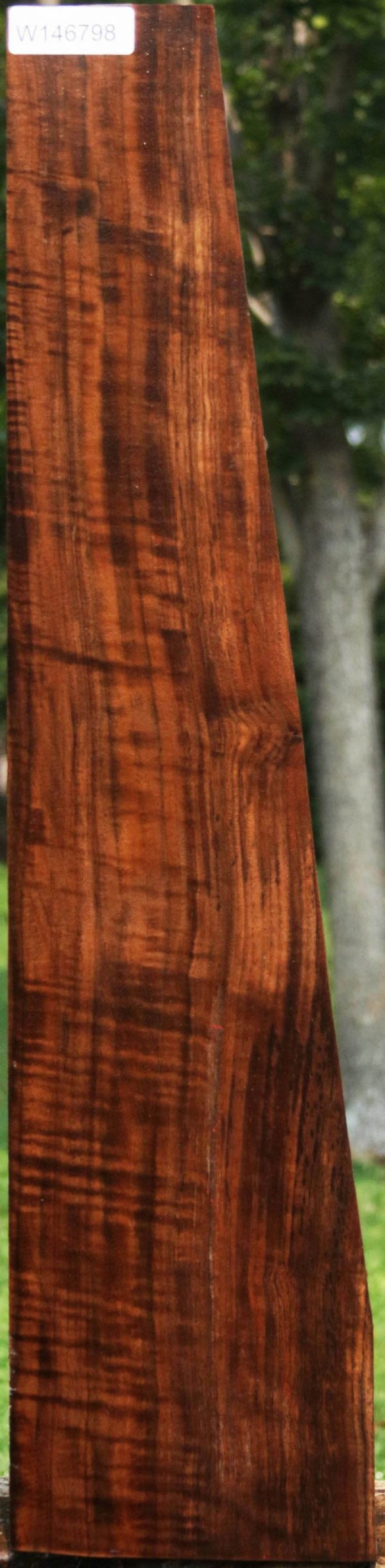 AAA+ Claro Walnut Gun Blank Online Hot Sale