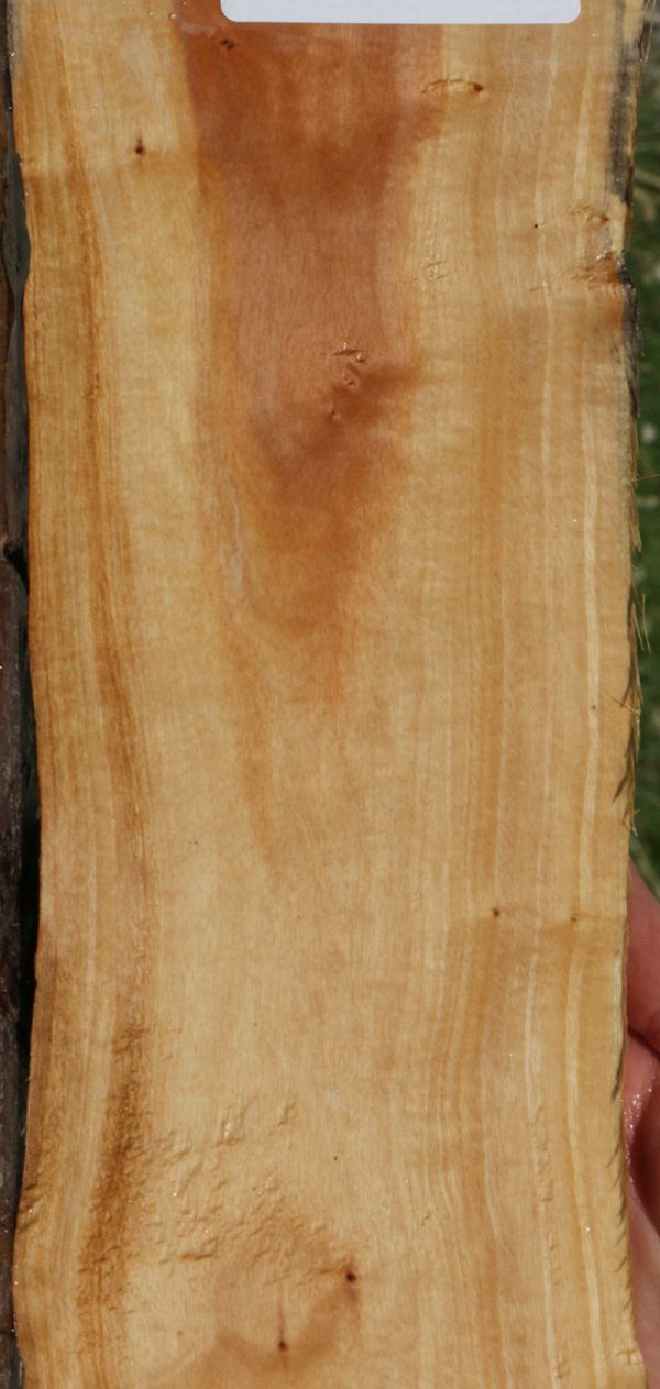 Pink Ivory Live Edge Micro Lumber Sale - Image 3