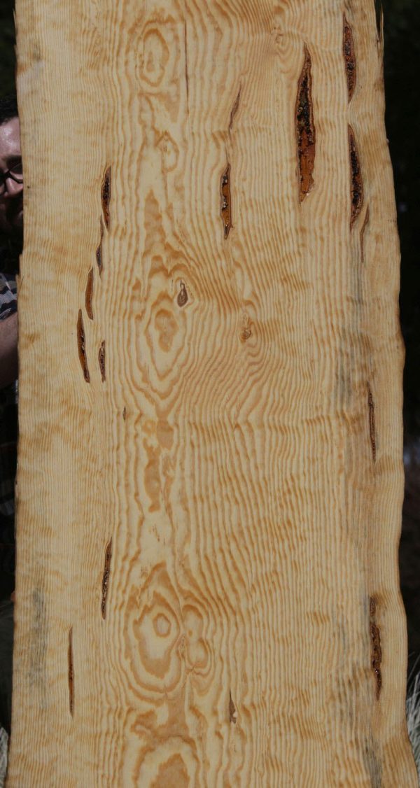 Rustic Ponderosa Pine Slab Online Sale - Image 3