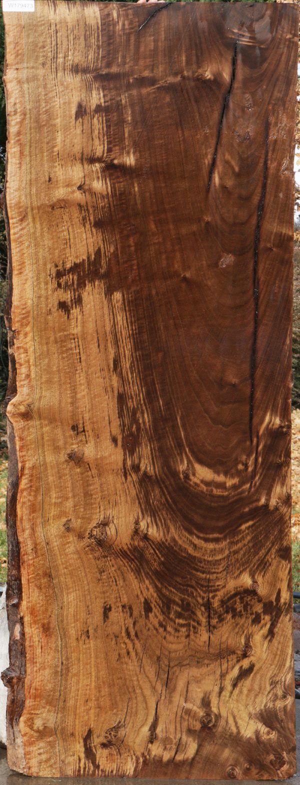 Rustic Claro Walnut Slab (Freight Shipping Required) Online Hot Sale