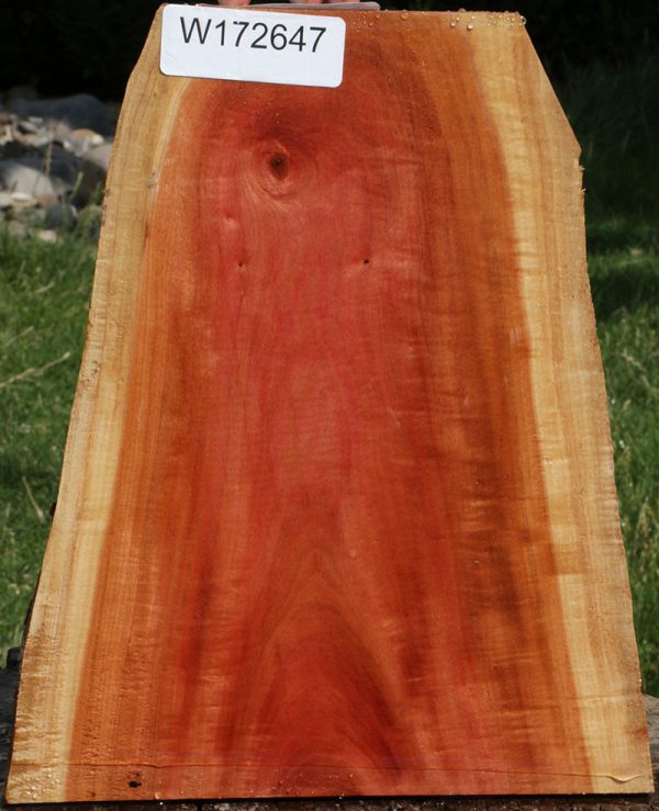 Extra Fancy Crotchwood Pink Ivory Live Edge Lumber Online now