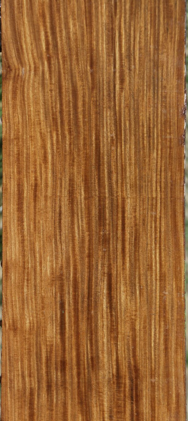 Extra Fancy Quartersawn Afrormosia Lumber For Cheap - Image 5