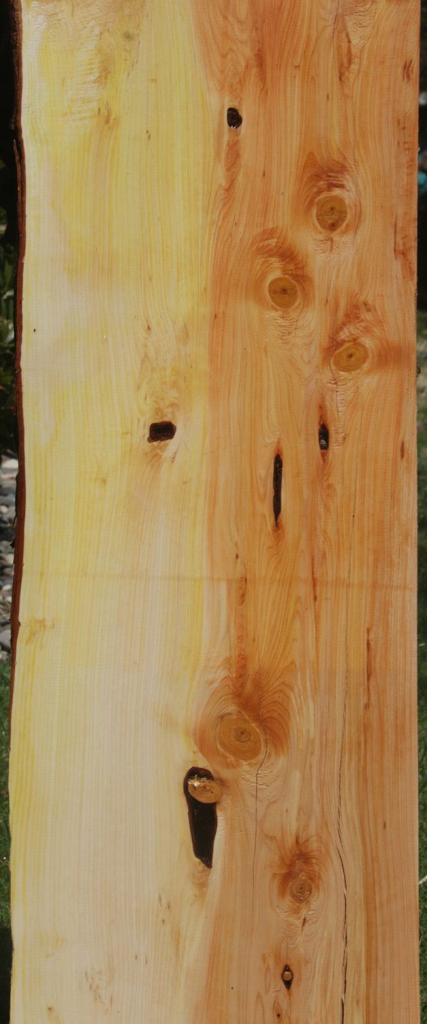 Rustic Juniper Live Edge Mantel For Sale - Image 5