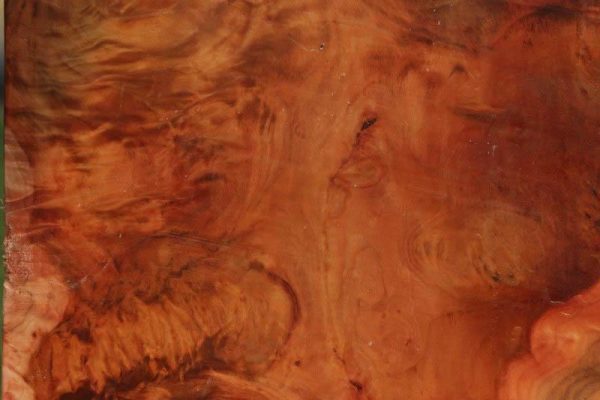 Brazilian Pepperwood Burl Bowl Blank Supply - Image 4