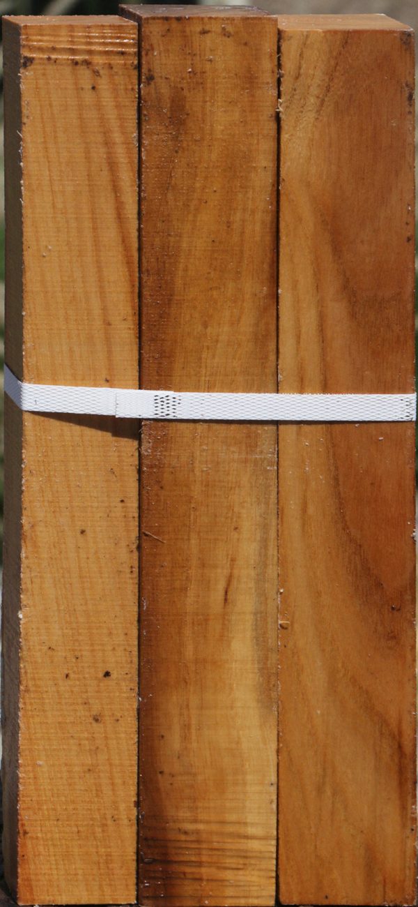 Lacebark Elm Turning Square 3 Pack Sale - Image 2
