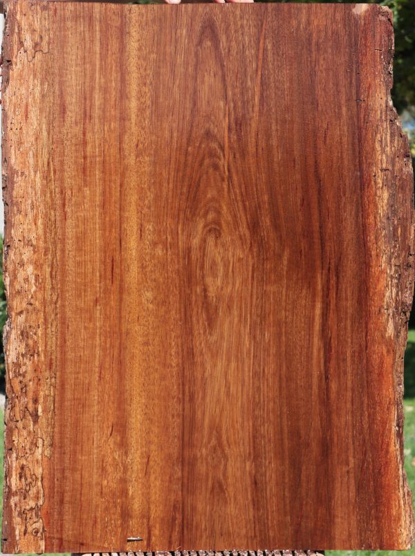 Rustic Angelique Live Edge Slab For Discount - Image 3