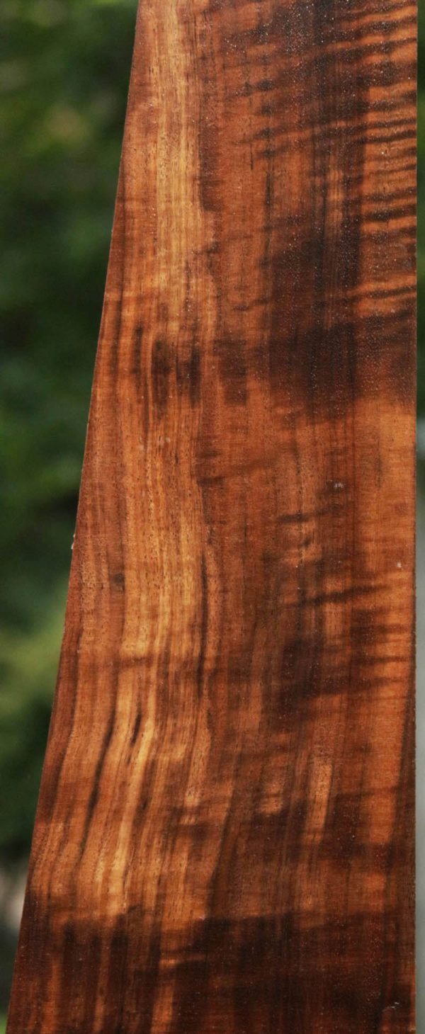 AAA+ Claro Walnut Gun Blank Online Hot Sale - Image 4