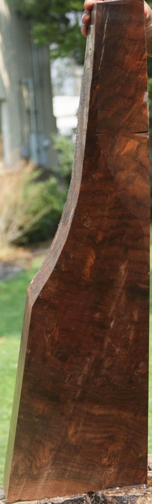 Exhibition Crotchwood Claro Walnut Gun Blank Cheap - Image 5