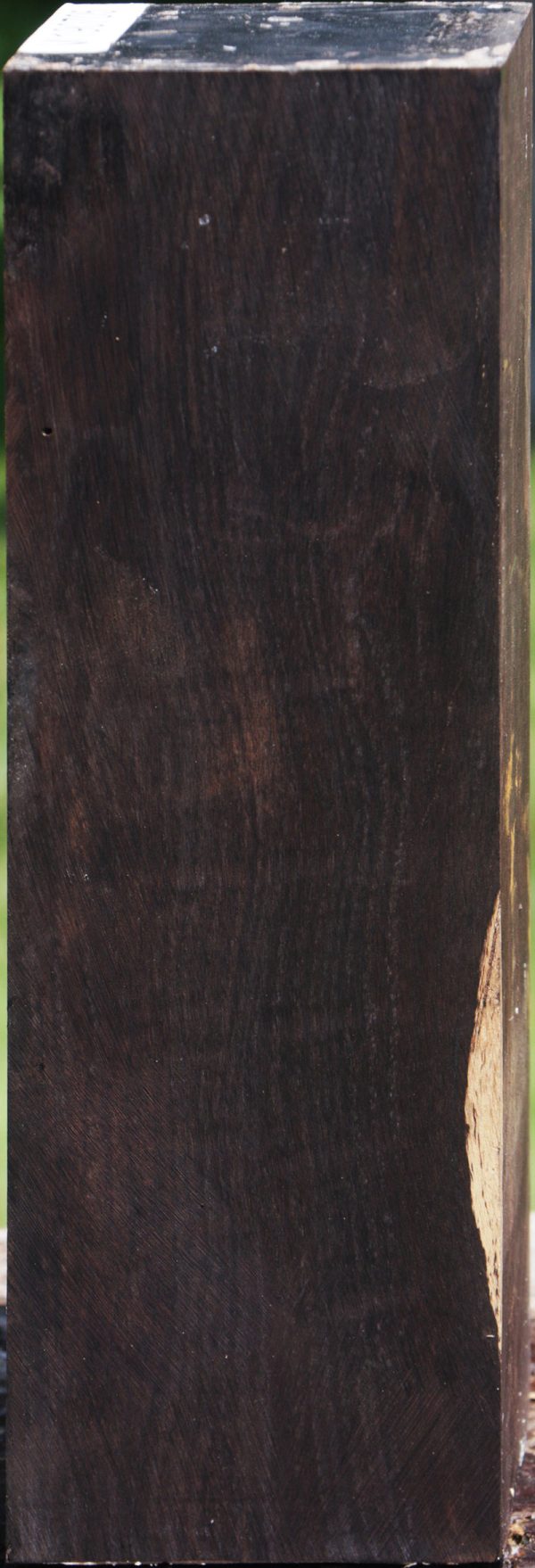 African Blackwood Instrument Blank Online now - Image 4