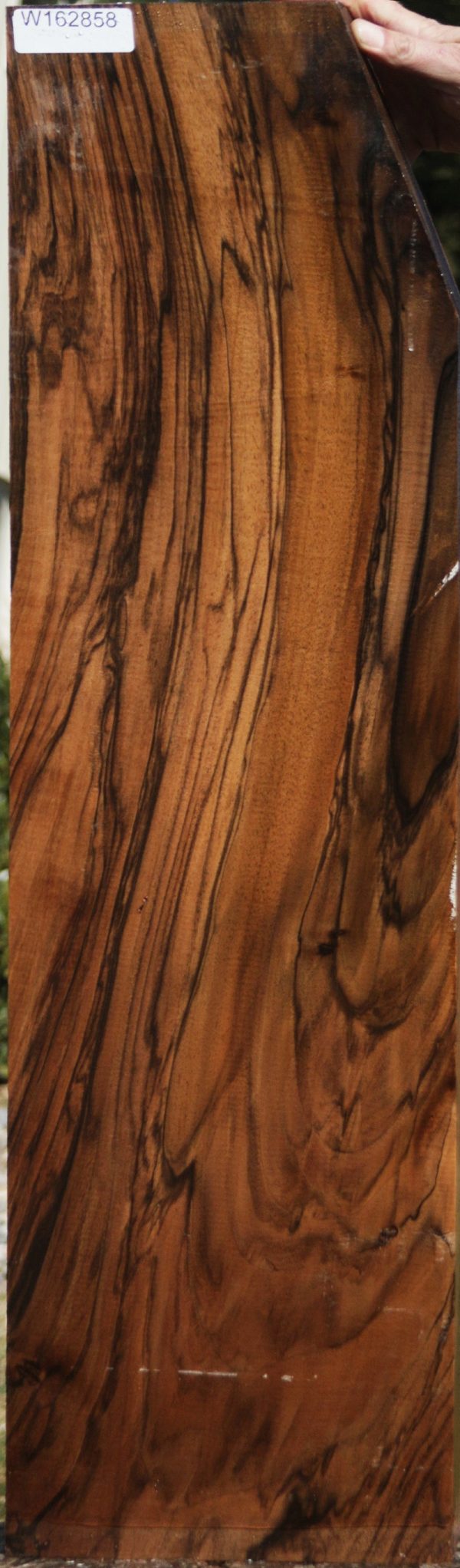 English Walnut Gun Blank Discount