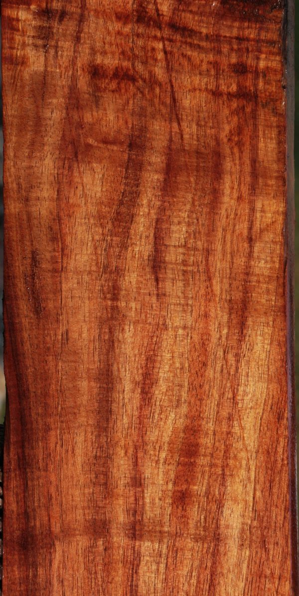 Extra Fancy Quartersawn Hawaiian Koa Instrument Lumber For Discount - Image 3