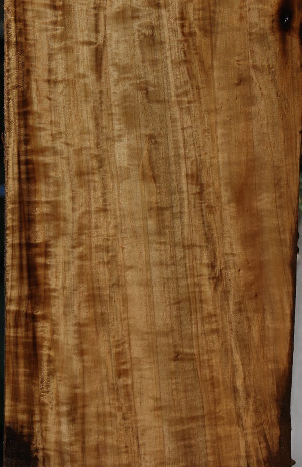 Extra Fancy Fiddleback French Poplar Lumber Discount - Image 5