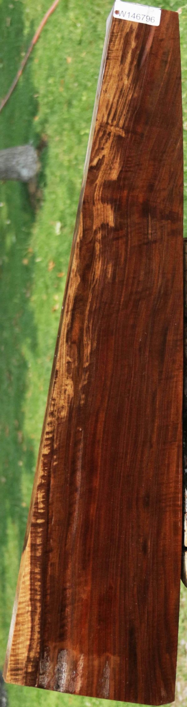 AAA+ Claro Walnut Gun Blank Sale
