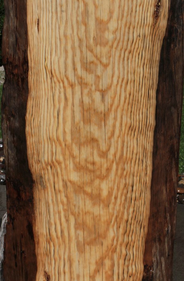 Rustic Blue Pine Slab Cheap - Image 3