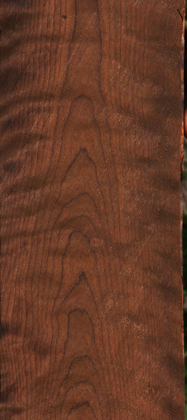 Extra Fancy Baked Birch Lumber Online - Image 4