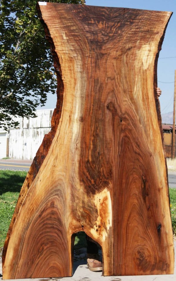 Extra Fancy Fiddleback Walnut Slab For Sale