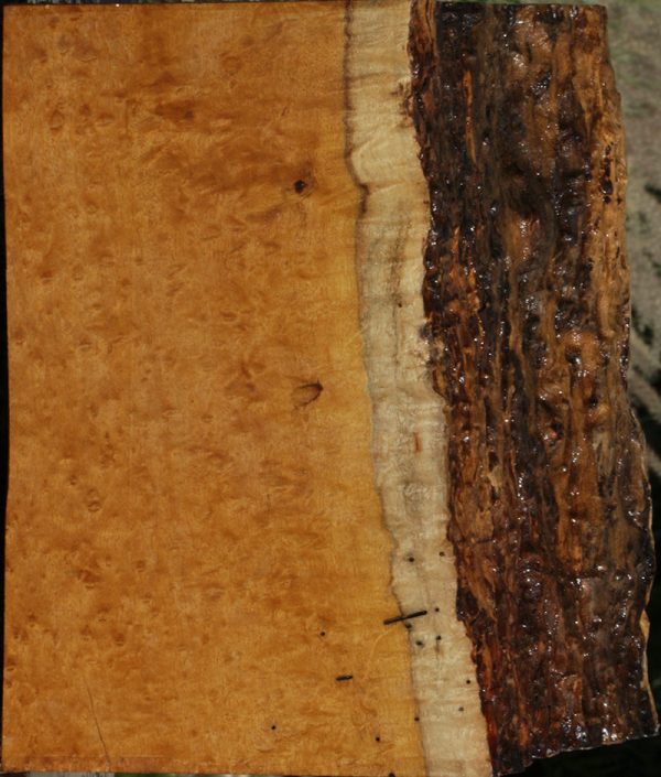 Mirindiba Live Edge Turning Blank Online Sale - Image 3