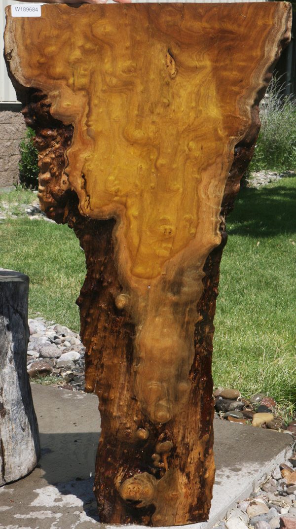 Rustic Itauba Live Edge Lumber Online - Image 2