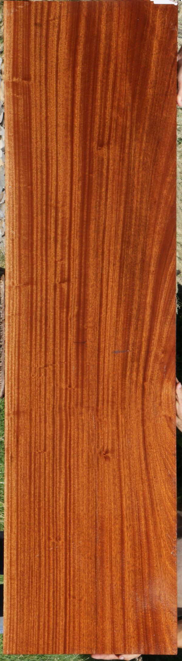 Ribbon Extra Fancy Sapele Micro Lumber Supply