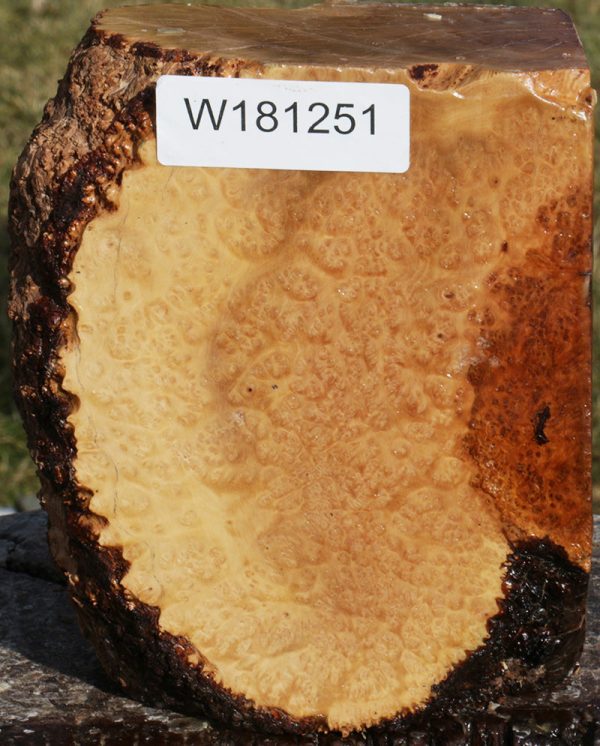 Kanista Live Edge Turning Blank For Discount