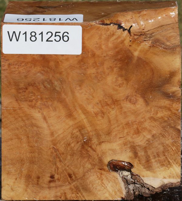 Extra Fancy Kanista Live Edge Bowl Blank For Discount - Image 2