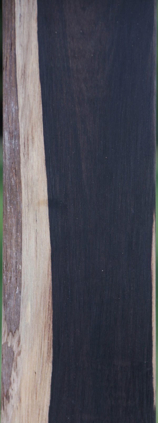 African Blackwood Instrument Blank Online now - Image 3