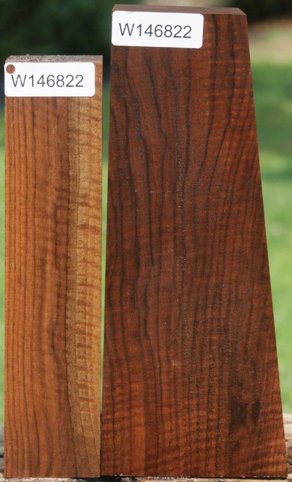 AAA+ Claro Walnut Gun Blank (Butt Stock) on Sale