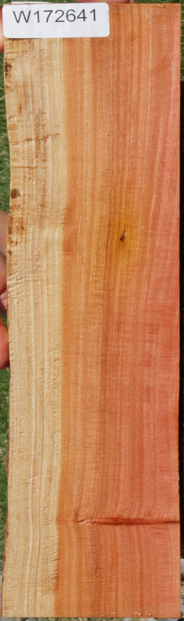 Extra Fancy Pink Ivory Live Edge Lumber Online now - Image 2