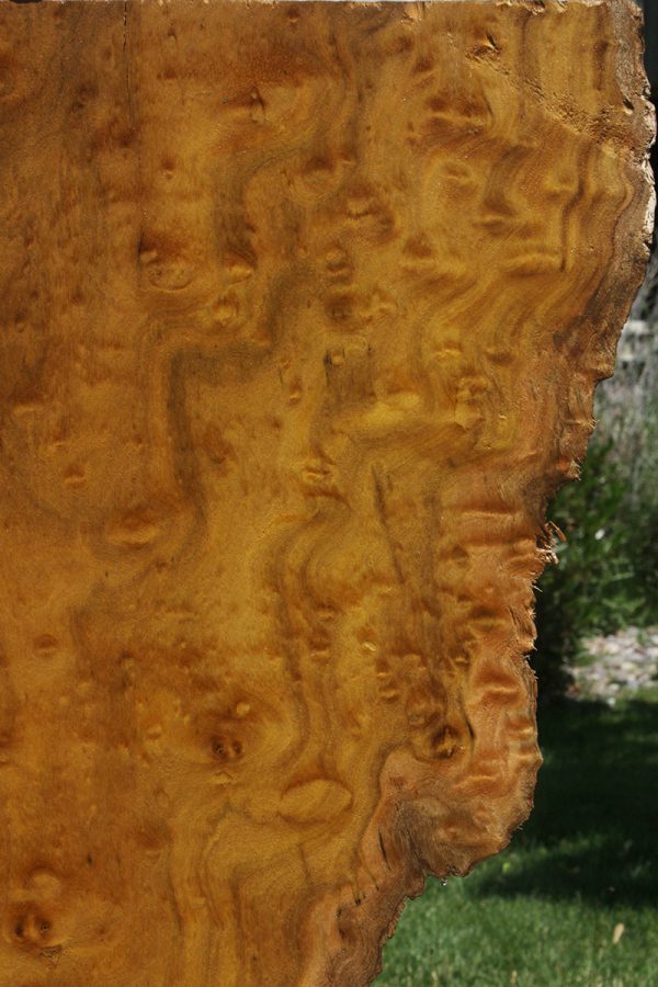 Rustic Itauba Live Edge Lumber Online - Image 5