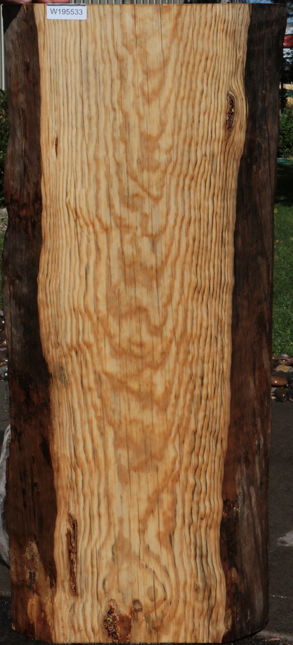 Rustic Blue Pine Slab Cheap - Image 2