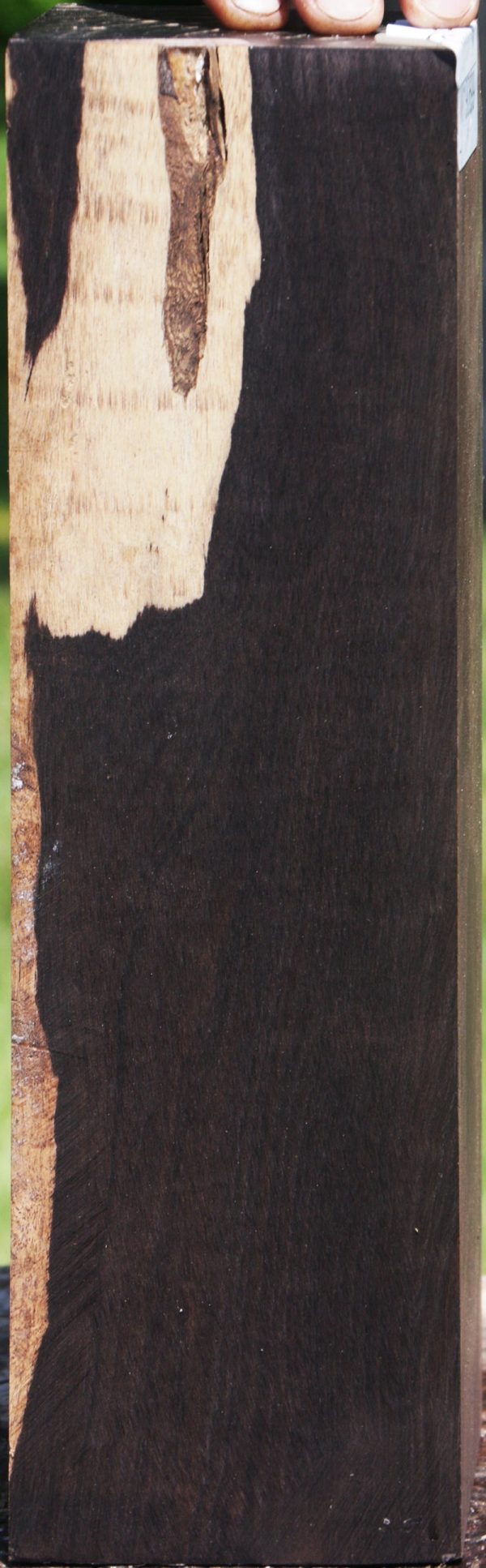 African Blackwood Instrument Blank Online now - Image 2