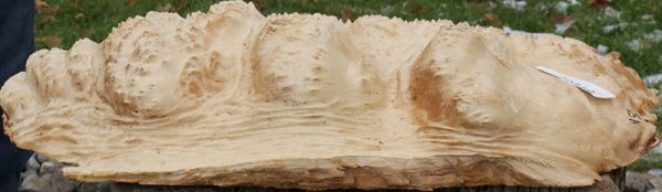 Extra Fancy Gold Mallee Burl Cap Online now - Image 2