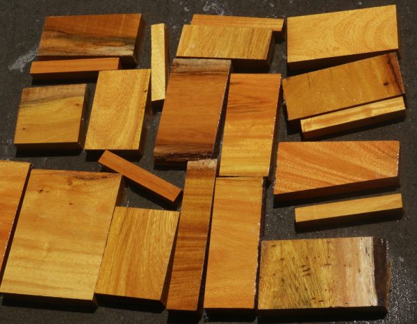 Argentine Osage Orange - Medium Box (MFRB) For Cheap