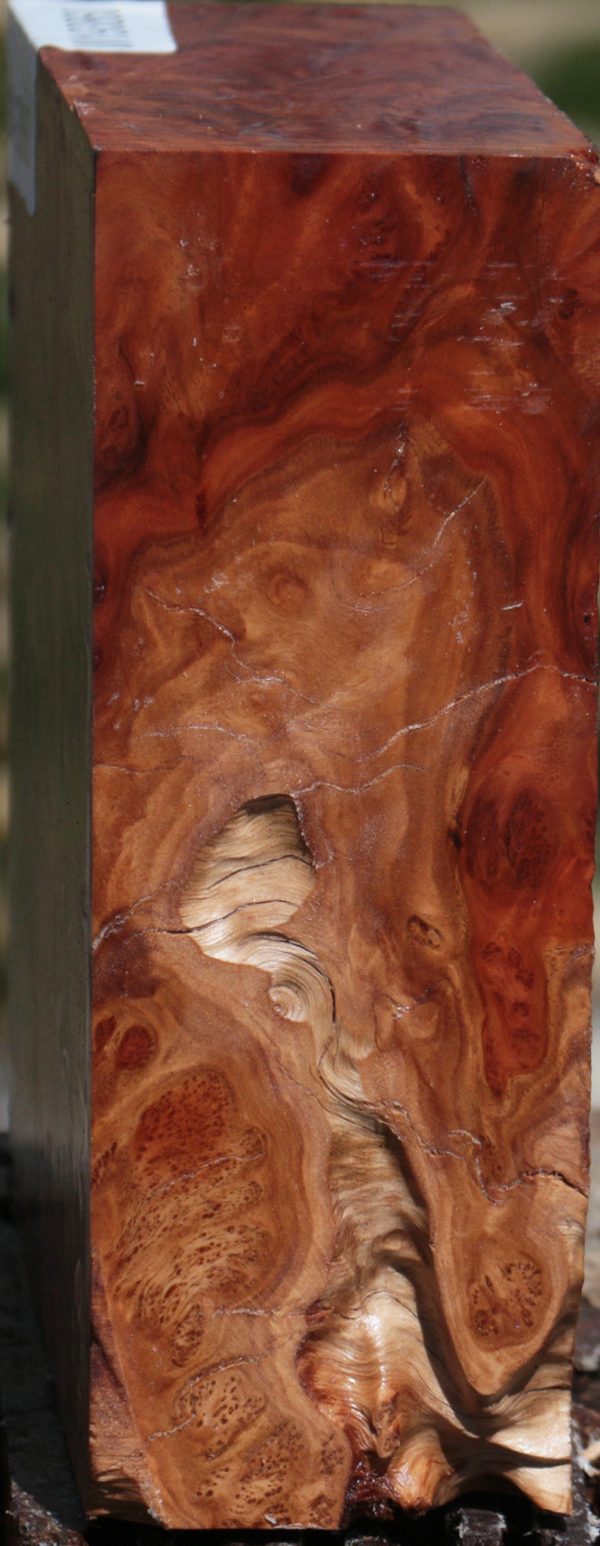 Extra Fancy Red Coolibah Burl Bowl Blank For Discount - Image 4