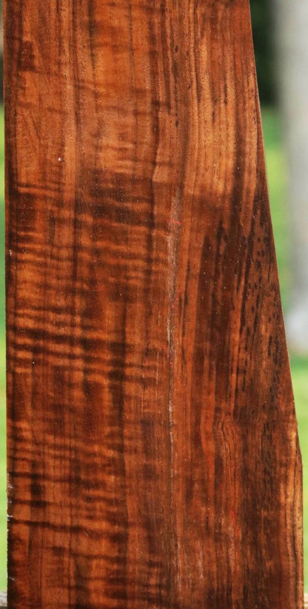AAA+ Claro Walnut Gun Blank Online Hot Sale - Image 5