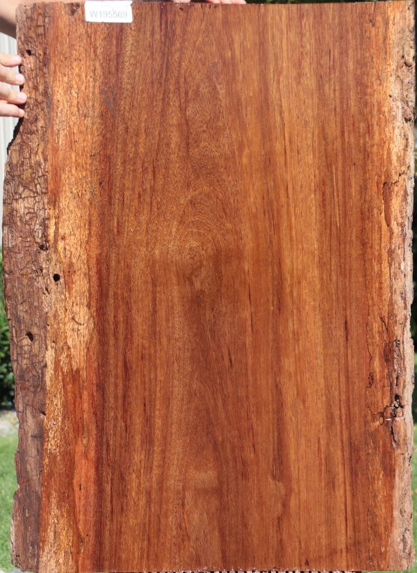 Rustic Angelique Live Edge Slab For Discount