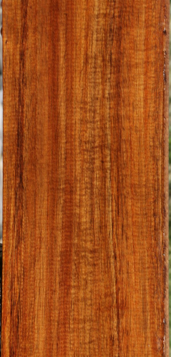 Exhibition Fiddleback Hawaiian Koa Lumber Hot on Sale - Image 4