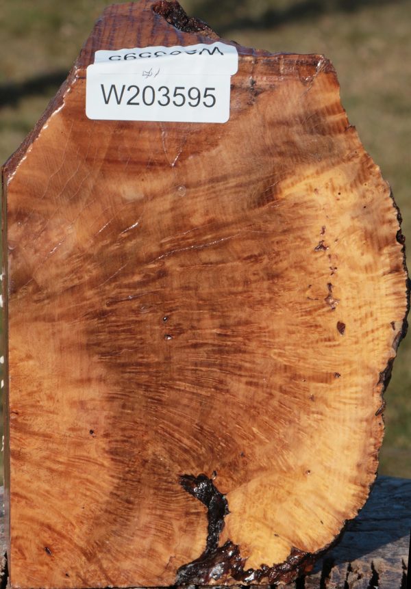 Kanista Burl Live Edge Bowl Blank Cheap