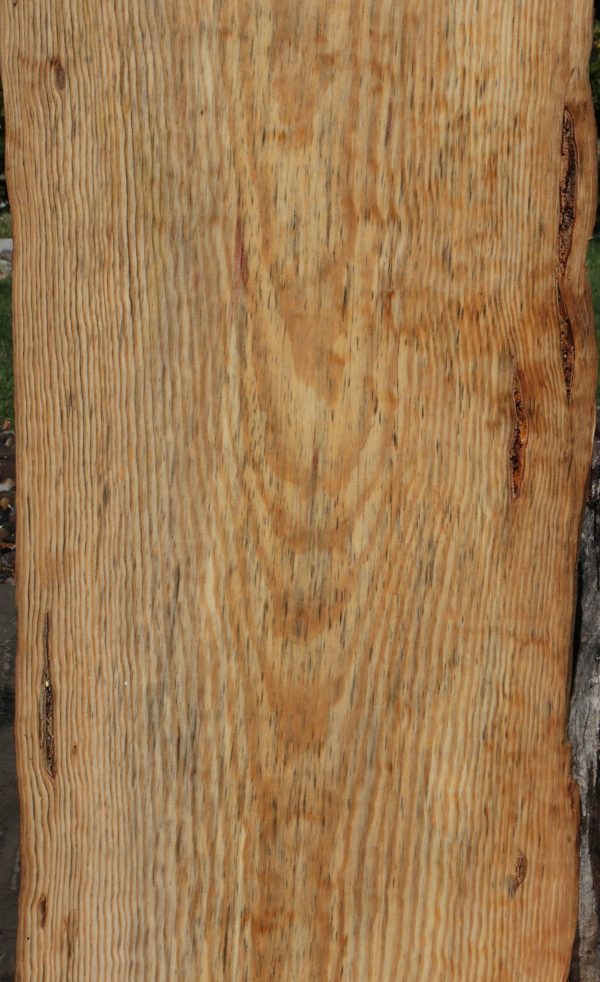 Rustic Blue Pine Slab Cheap - Image 4