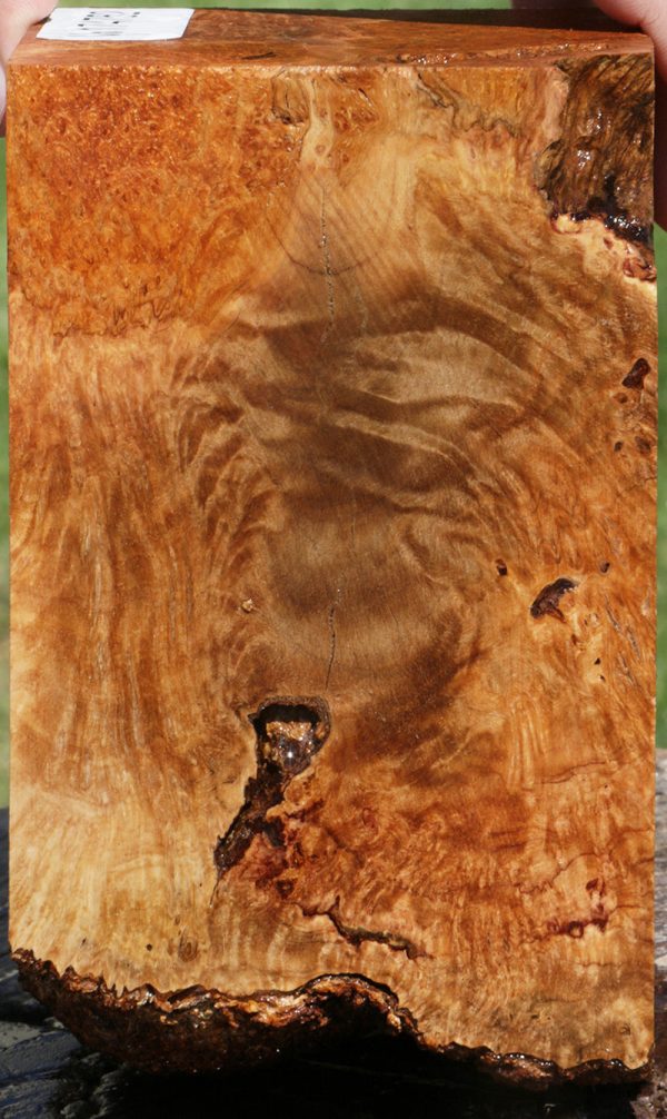 Exhibition Kanista Live Edge Burl Bowl Blank For Sale - Image 3